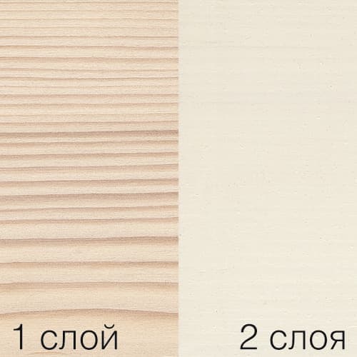 3172.jpg