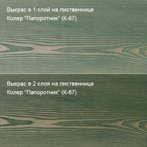 Живица Техно износостойкое масло (К-67 Папоротник) фото 2