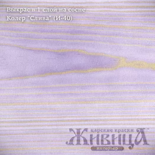 Живица Антисептик БиоГрунт «ПРО» (Слива И-40) фото 2
