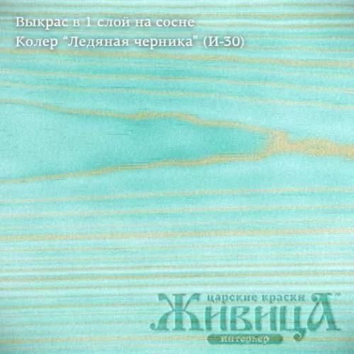 Живица Антисептик БиоГрунт «ПРО» (Ледяная черника И-30) фото 2