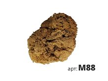 STMDECOR натуральная губка морская M88