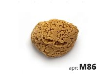 STMDECOR губка морская натуральная большая M86