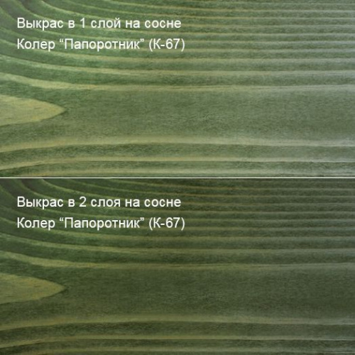 Живица Техно интерьерное масло (К-67 Папоротник) фото 4