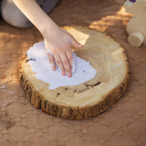 Живица Биогрунт (И-05 Инжир) фото 3